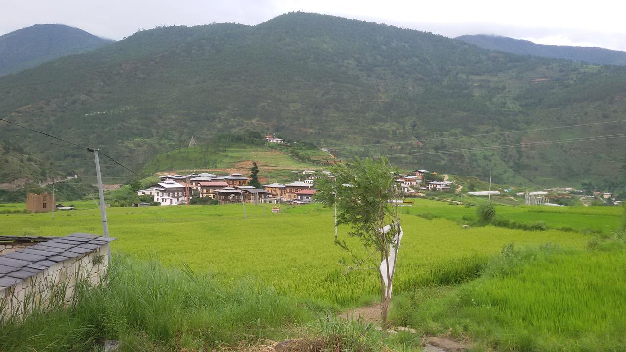 Chimi Lhakhang Village Homestay Пунакха Екстер'єр фото