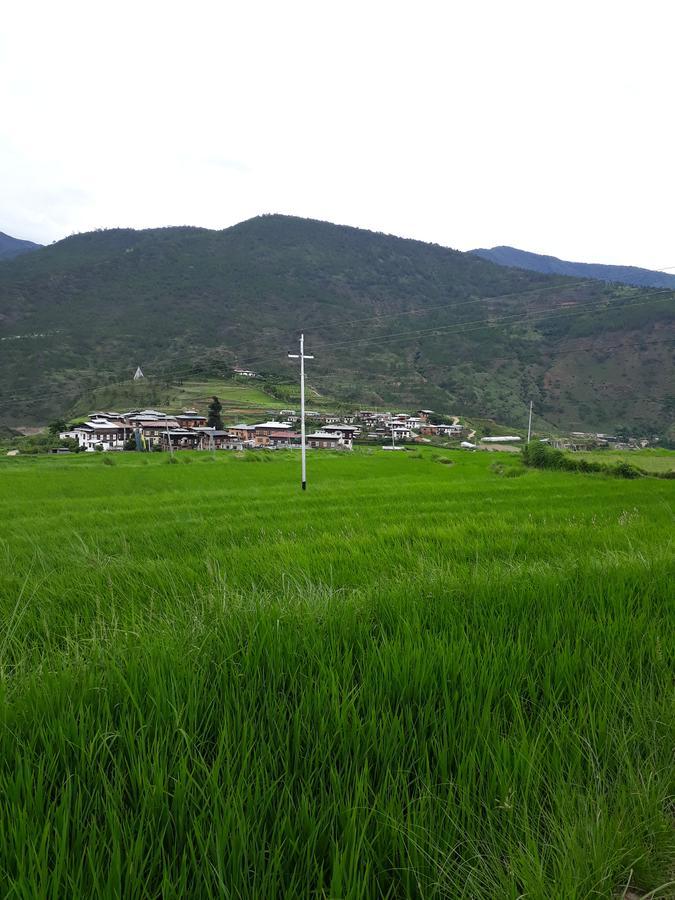 Chimi Lhakhang Village Homestay Пунакха Екстер'єр фото